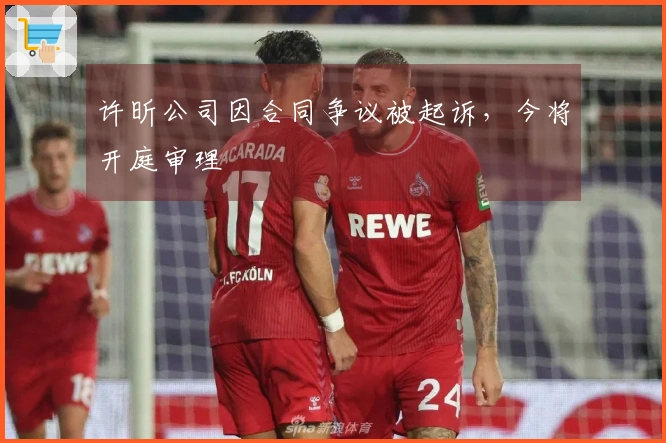 许昕公司因合同争议被起诉，今将开庭审理