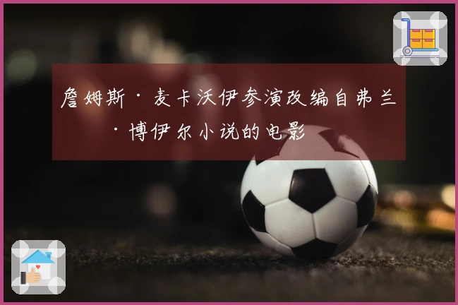 詹姆斯·麦卡沃伊参演改编自弗兰基·博伊尔小说的电影